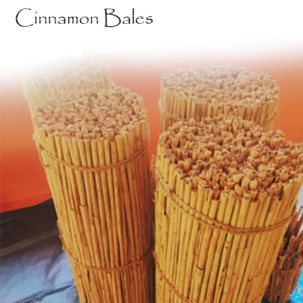 Cinnamon-4