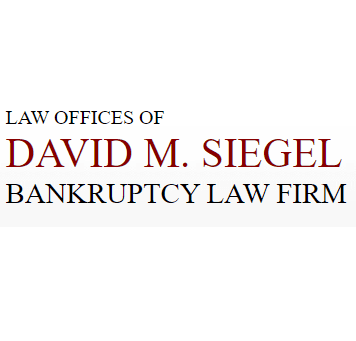 David M. Siegel - Chicago Bankruptcy Lawyer logo