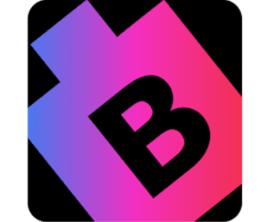 BitsWits Denver - Mobile App Development Company logo