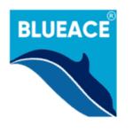 Blueace India Limited logo