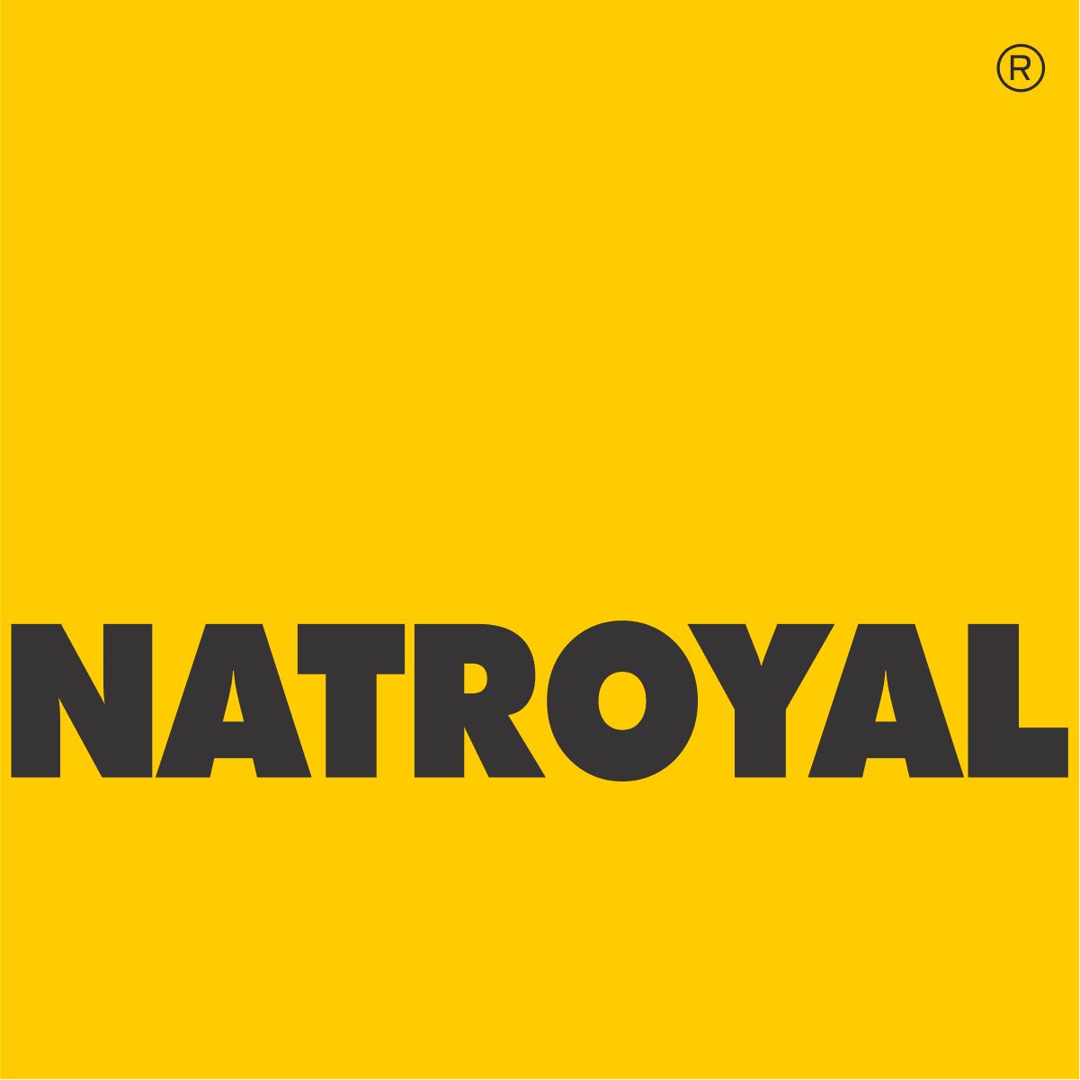 Natroyal Group – Leading Indian Manufacturer of LVT Flooring, Coated Fabrics &amp; Seating Components logo