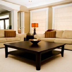Central Carpet Care logo