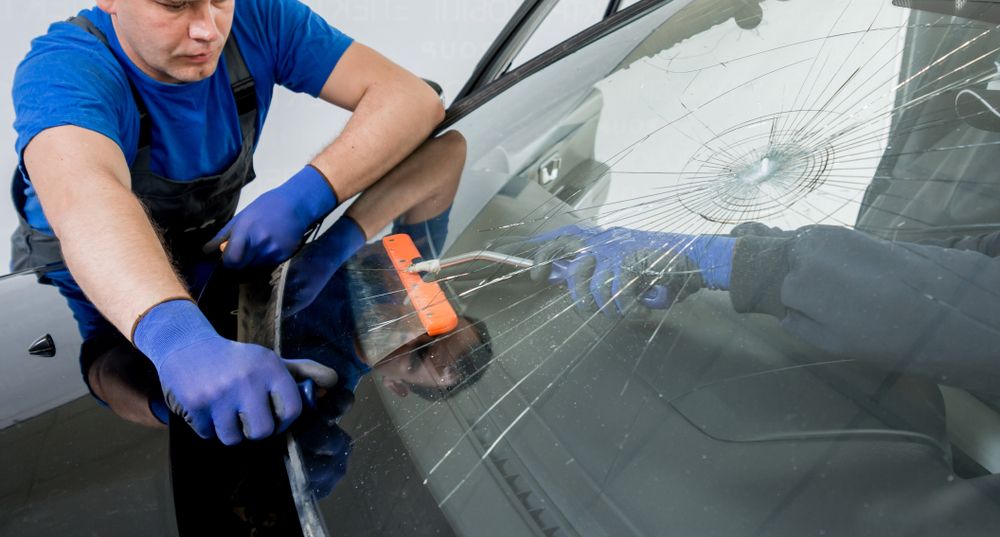 Payless Auto Glass logo