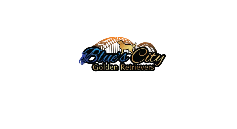 Blues City Golden Retrievers