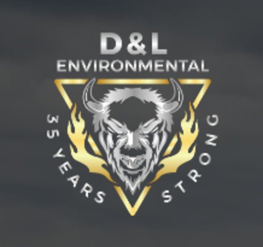 D &amp; L Environmental Ltd