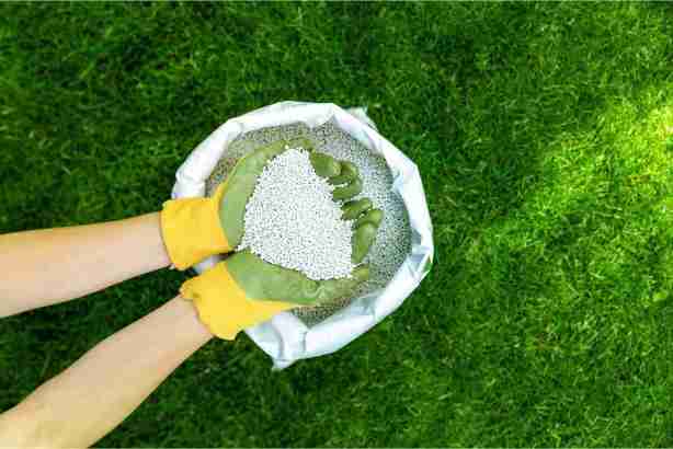 RDS Lawn Care Services