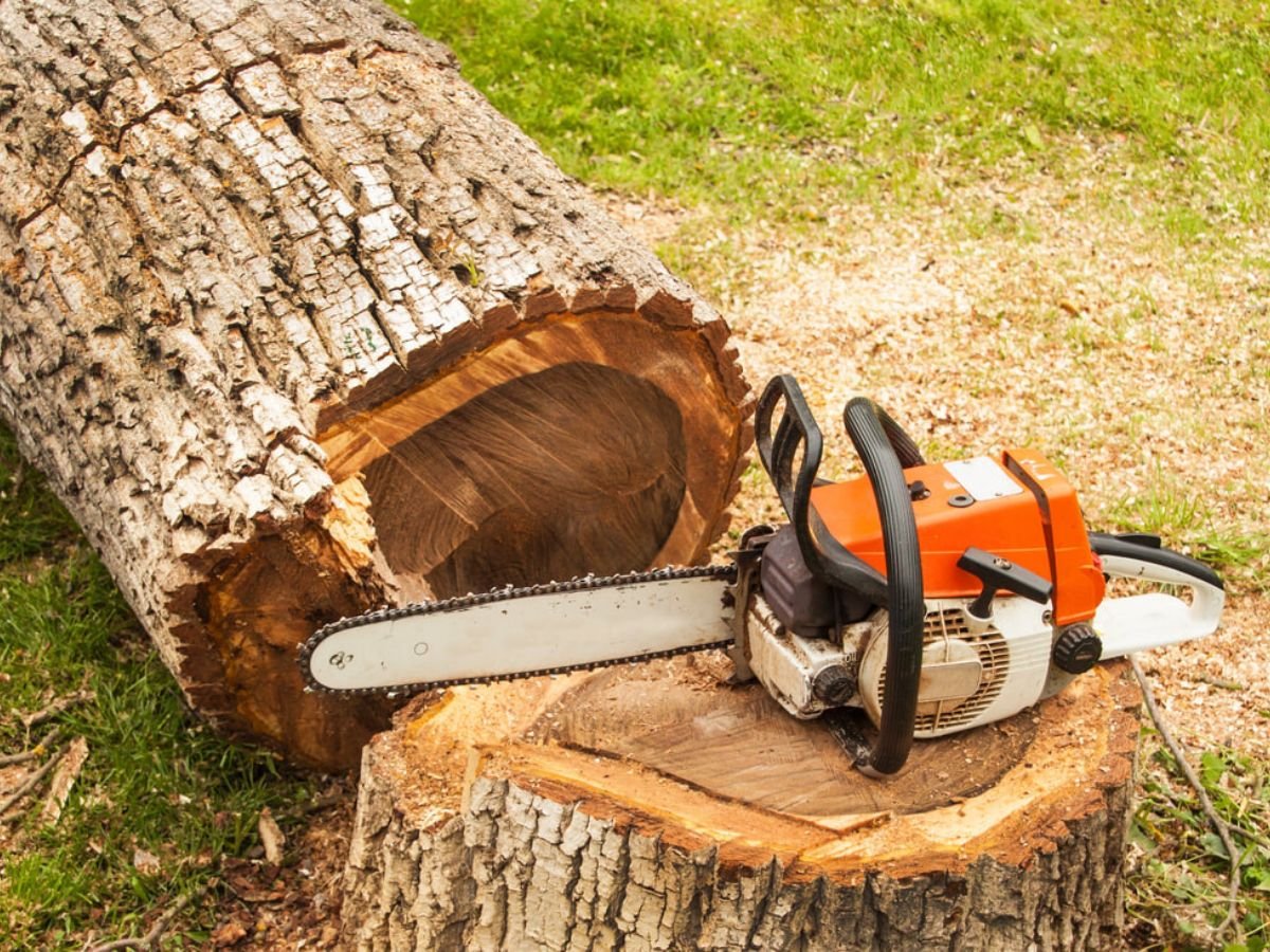 True Gen Tree Service LLC