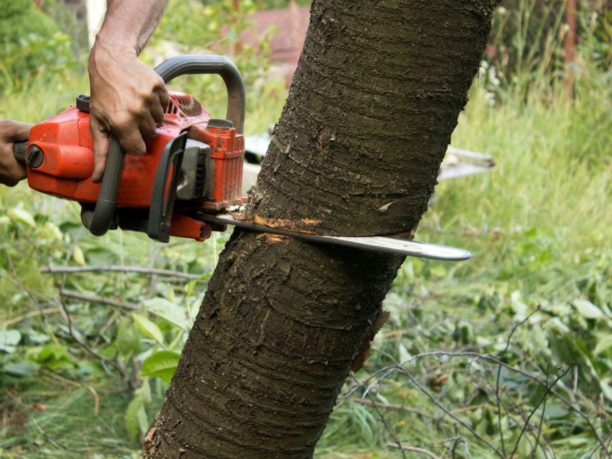 True Gen Tree Service LLC