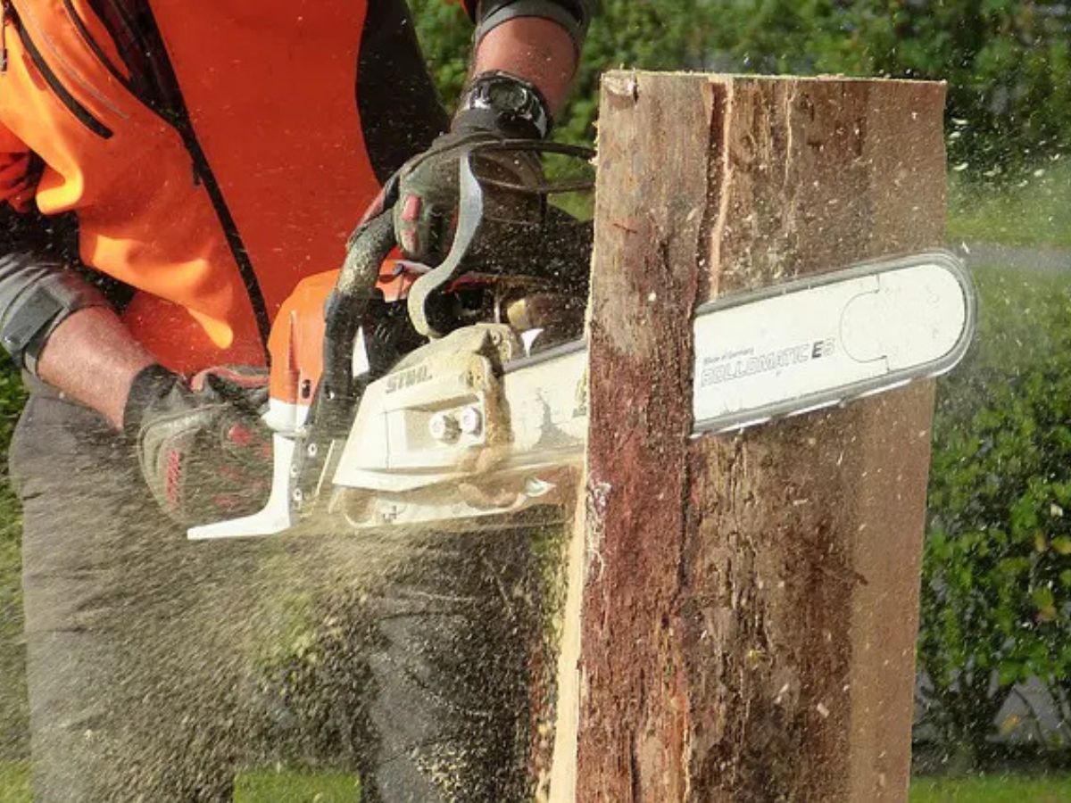 True Gen Tree Service LLC