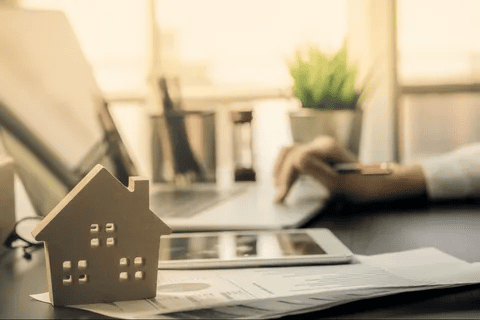 Shaheen Realty