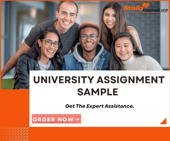 Top rated university assignment sample PDF at Studyassignmenthelp.co.uk