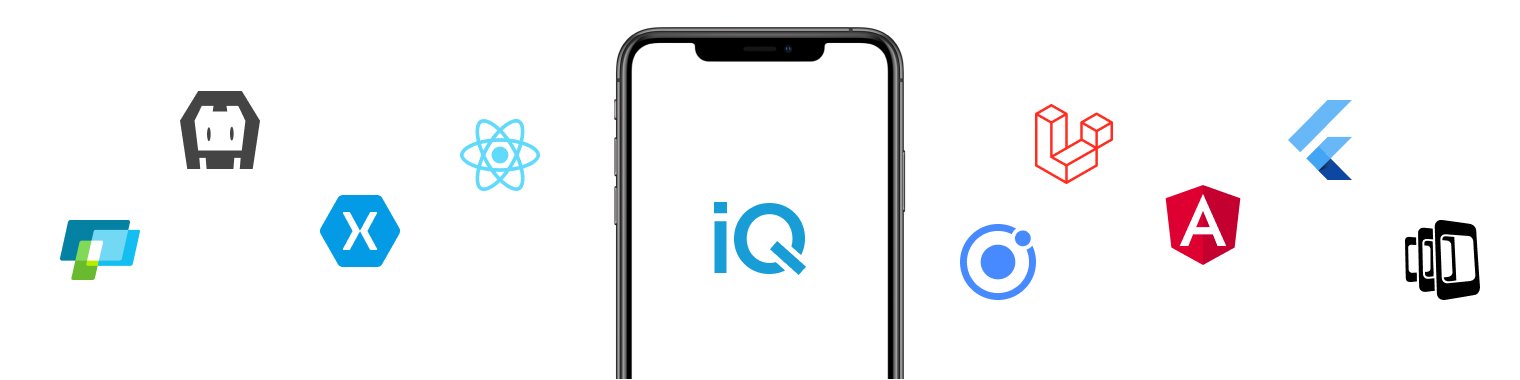 Mobile App Development Company in San Francisco | iQlance Solutions