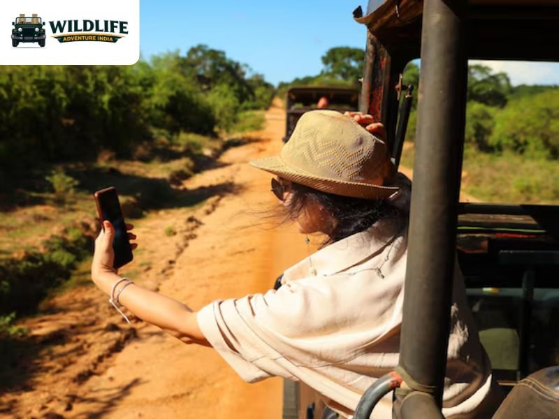Pench Booking | Wildlife Adventure India