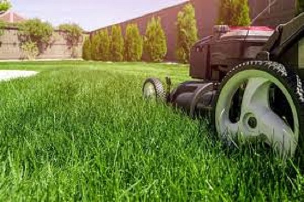 SB LAWN CARE INC.