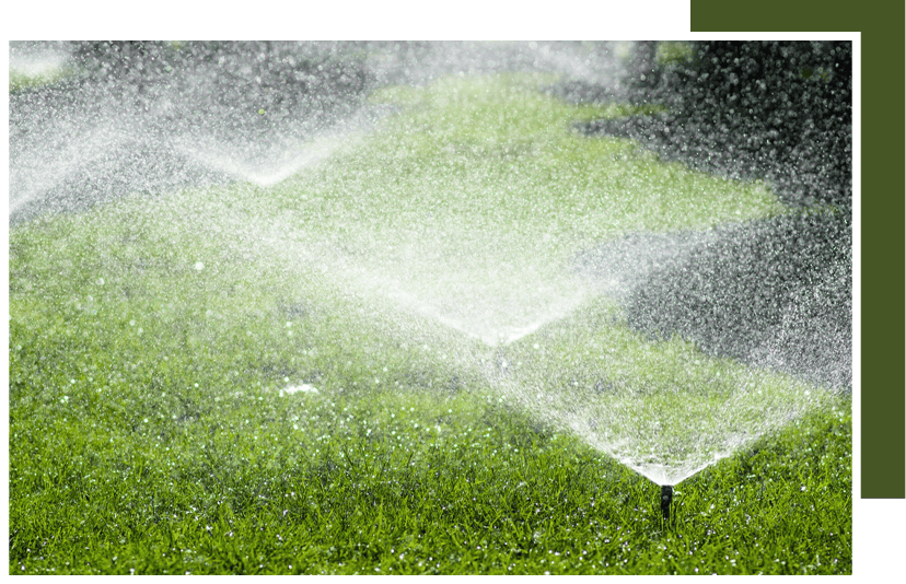 Greenline Landscape and Irrigation