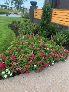 Greenline Landscape and Irrigation