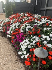 Greenline Landscape and Irrigation
