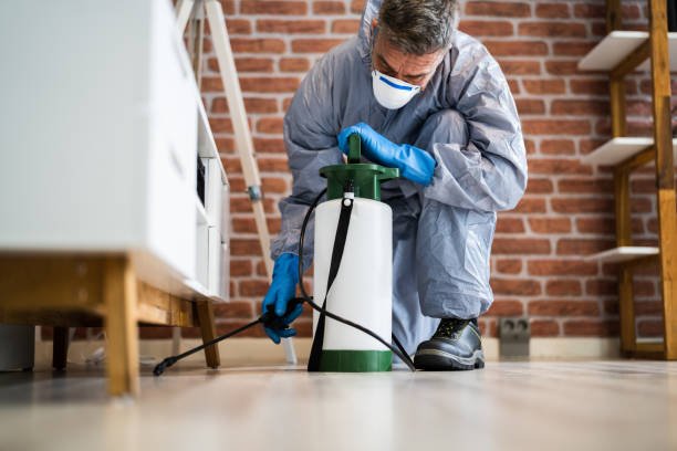 True Pest Control