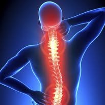 Westleigh Chiropractic