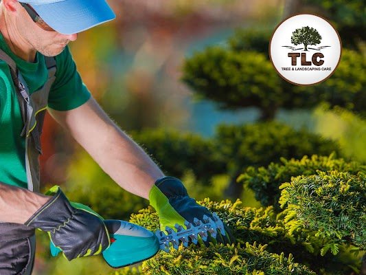 TLC Tree &amp; Landscaping Care