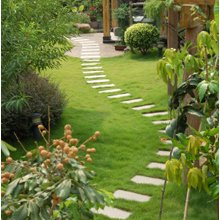 Swain Landscaping