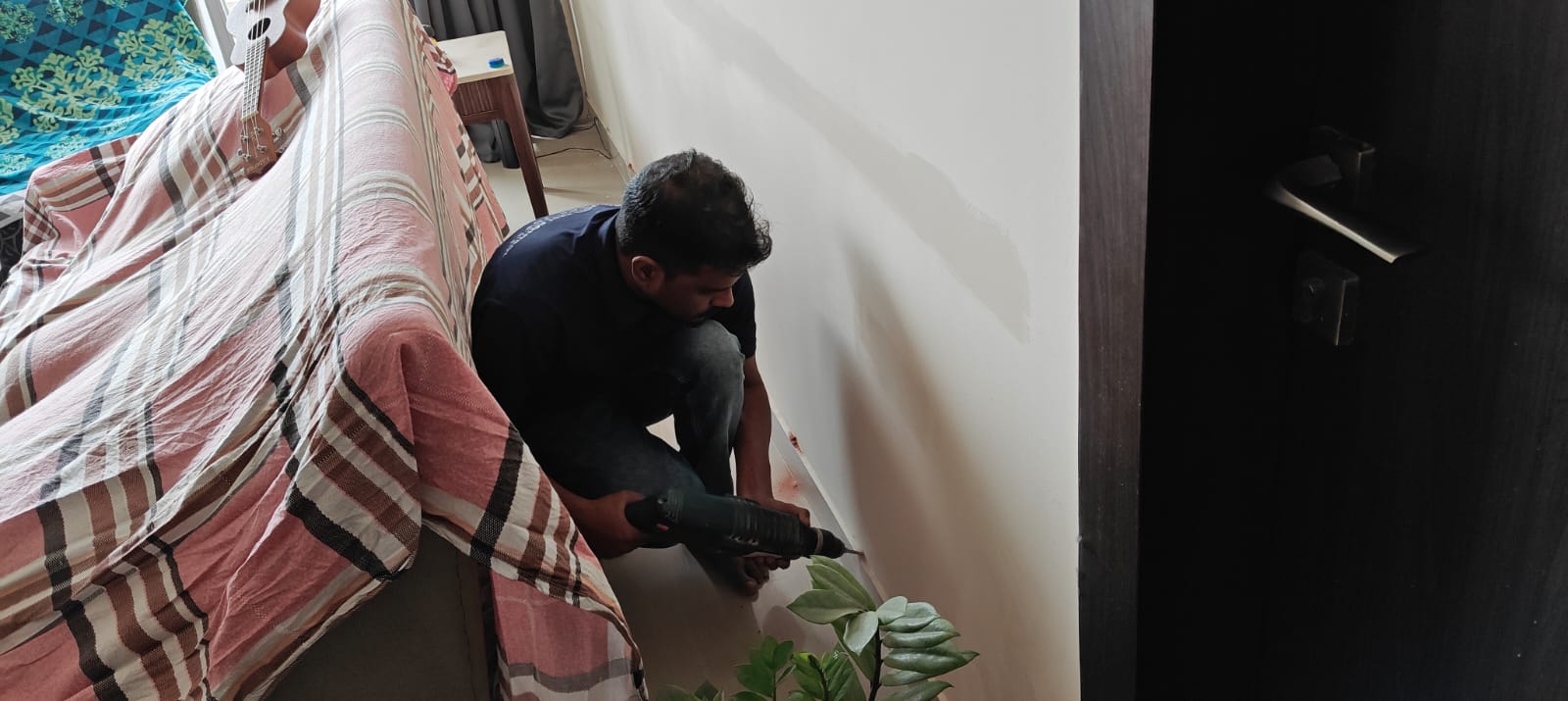 Protection Pest Control