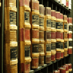 Law Office Of Lina R Trevino