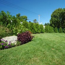 Fred’s Landscaping &amp; Irrigation