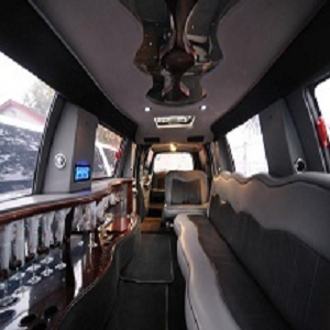 Fantasy Limousine Service