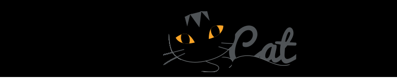 blackcat360_logo_md (1)