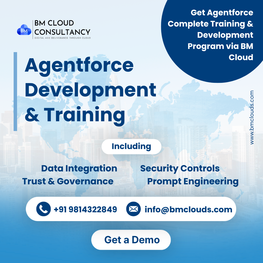 BM Cloud Salesforce Consultancy