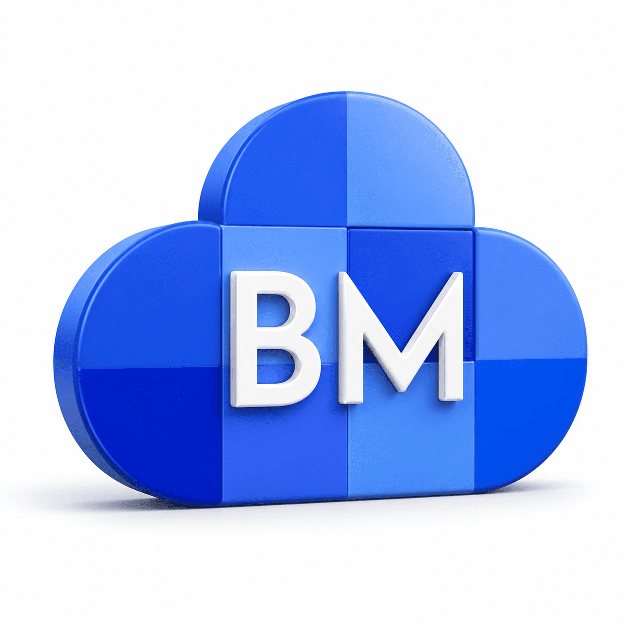 BM Cloud Salesforce Consultancy logo