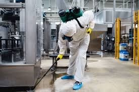 Mega Pest Control Langley