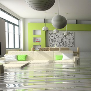 Rolanda Lewis logo